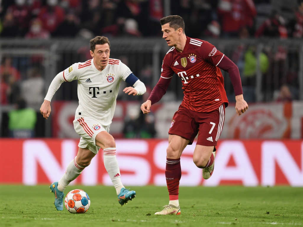 孔帕尼需要 孔帕尼需要